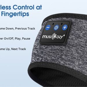 Gray Headset with Wireless Control